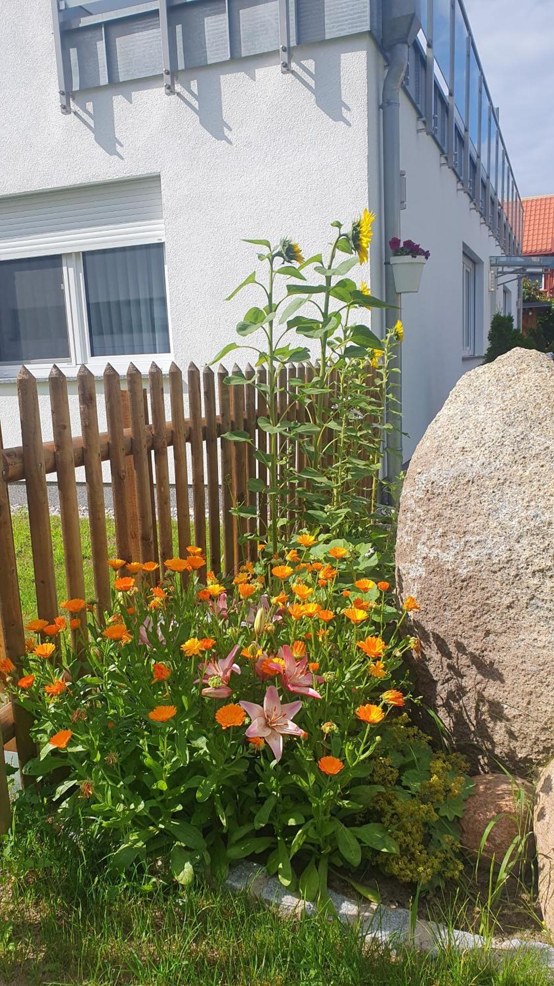Ferienwohnungen "Godewind", Appartements Mit Balkon Oder Terrasse Zinnowitz Eksteriør bilde