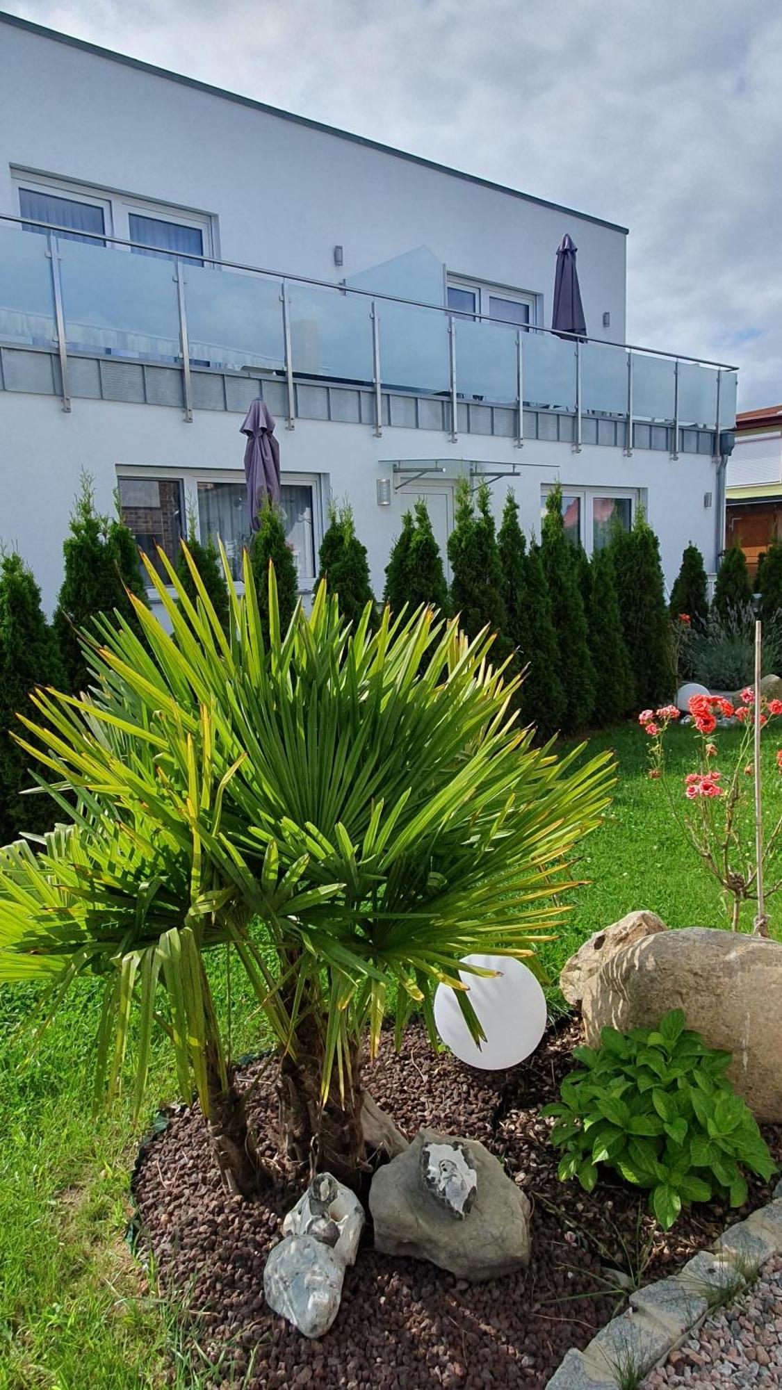Ferienwohnungen "Godewind", Appartements Mit Balkon Oder Terrasse Zinnowitz Eksteriør bilde